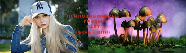 ALPHA PVP Нефтекумск